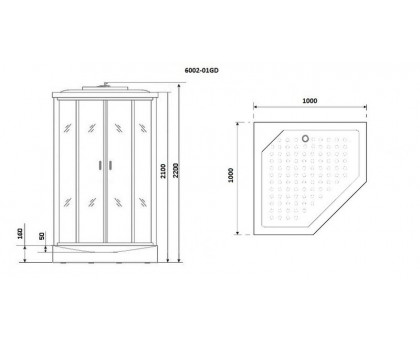 Душевая кабина Niagara Premium NG-6002-01GD 100х100 см